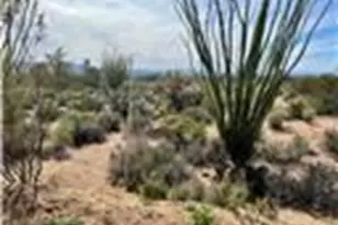 3607 S Kit Carson Rd, Yucca, AZ 86438 - Photo 18