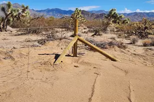 14176 S Nash Rd, Yucca, AZ 86438 - Photo 20