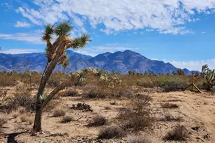 14176 S Nash Rd, Yucca, AZ 86438 - Photo 26