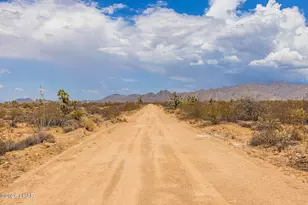 14176 S Nash Rd, Yucca, AZ 86438 - Photo 34