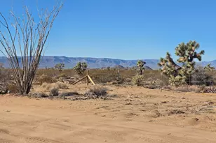 14176 S Nash Rd, Yucca, AZ 86438 - Photo 28