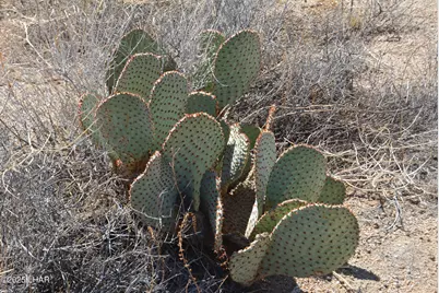 Lot 3271 S Arlington Rd, Yucca, AZ 86438 - Photo 10