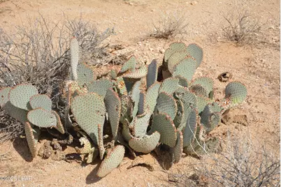 Lot 3271 S Arlington Rd, Yucca, AZ 86438 - Photo 86