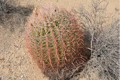 Lot 3271 S Arlington Rd, Yucca, AZ 86438 - Photo 56