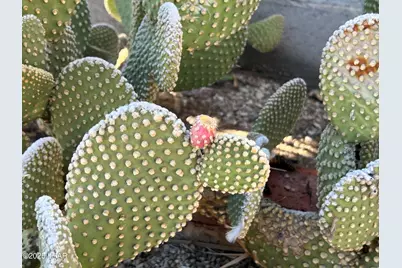 49688 Ruby Ave, Quartzsite, AZ 85346 - Photo 30