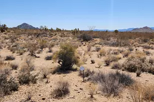 Lot 357 E Adobe Dr, Yucca, AZ 86438 - Photo 1