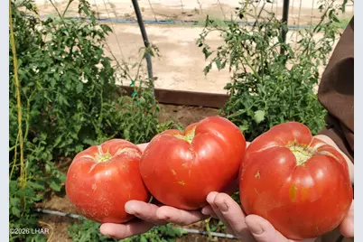 35448 2nd St, Wenden, AZ 85357 - Photo 40