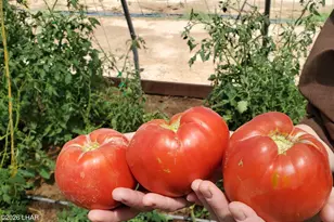 35448 2nd St, Wenden, AZ 85357 - Photo 40