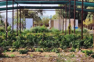 35448 2nd St, Wenden, AZ 85357 - Photo 70