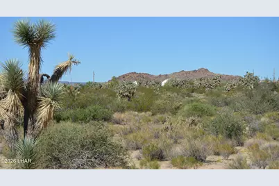 2279 E Margaret Dr, Yucca, AZ 86438 - Photo 36