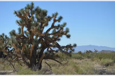 2279 E Margaret Dr, Yucca, AZ 86438 - Photo 40