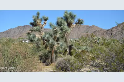 2279 E Margaret Dr, Yucca, AZ 86438 - Photo 46