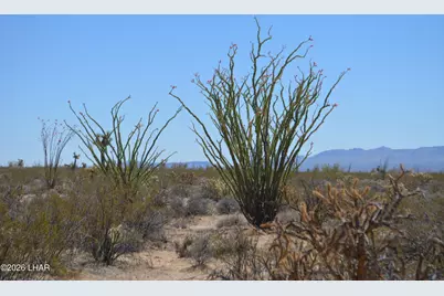 199 Cortaro Rd, Yucca, AZ 86438 - Photo 30