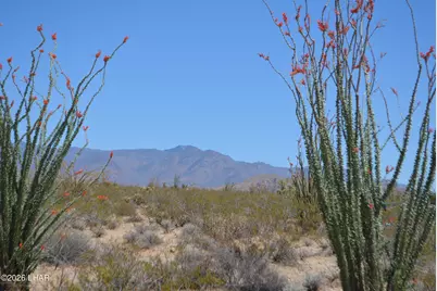 199 Cortaro Rd, Yucca, AZ 86438 - Photo 24