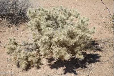 199 Cortaro Rd, Yucca, AZ 86438 - Photo 20