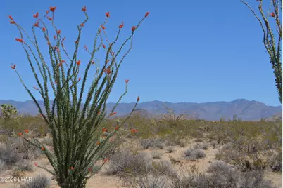 199 Cortaro Rd, Yucca, AZ 86438 - Photo 32