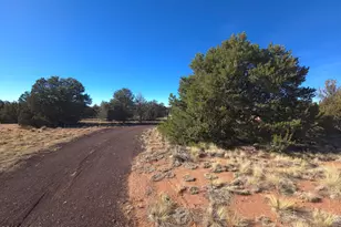 3580 S Noble Dr, Williams, AZ 86046 - Photo 1