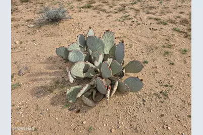 Tbd S Wild Bill Rd, Yucca, AZ 86438 - Photo 2