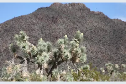 Lot 1 S Alvis Rd, Yucca, AZ 86438 - Photo 26