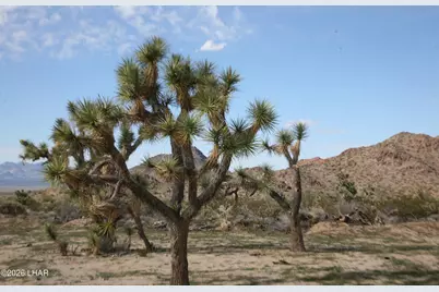 Lot 1 S Alvis Rd, Yucca, AZ 86438 - Photo 22