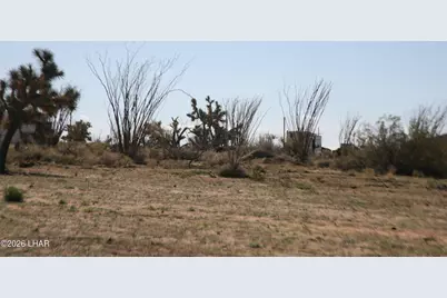 Lot 1 S Alvis Rd, Yucca, AZ 86438 - Photo 50