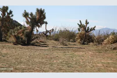 Lot 1 S Alvis Rd, Yucca, AZ 86438 - Photo 52