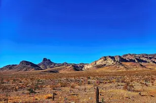 5680 S Pima Rd, Golden Valley, AZ 86413 - Photo 102