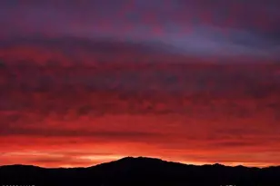 5680 S Pima Rd, Golden Valley, AZ 86413 - Photo 24