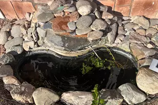 49584 Opal Ave, Quartzsite, AZ 85346 - Photo 4