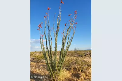 3630 W Yellow Bird Dr, Yucca, AZ 86438 - Photo 4