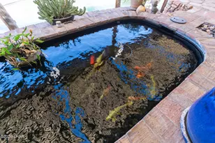 2761 Paseo Dorado, Lake Havasu City, AZ 86406 - Photo 44