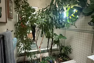 192 Mescal Loop, Lake Havasu City, AZ 86403 - Photo 8