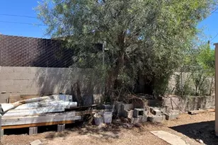 3198 Jennie Ln, Lake Havasu City, AZ 86404 - Photo 32
