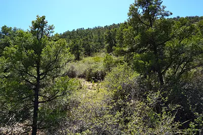 3225 S Atherton Dr, Kingman, AZ 86401 - Photo 82