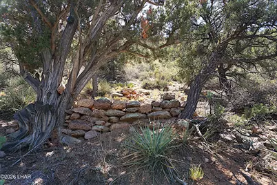 3225 S Atherton Dr, Kingman, AZ 86401 - Photo 84