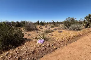 00 Hillside Dr, Yucca, AZ 86438 - Photo 1