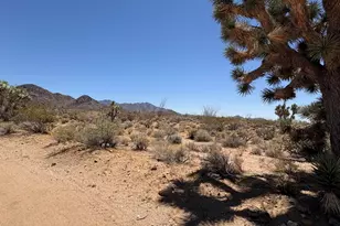 000 E Maricopa Dr, Yucca, AZ 86438 - Photo 2