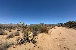 000 E Maricopa Dr, Yucca, AZ 86438 - Photo 4