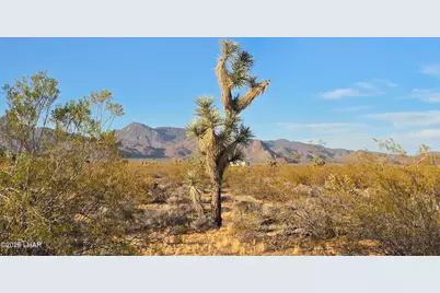 122-37-007 S John Wayne Rd, Yucca, AZ 86438 - Photo 2