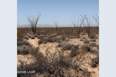 000 S Doc Holliday Rd, Yucca, AZ 86438 - Photo 8