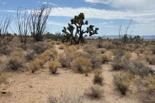 00 Organ Pipe Pl, Yucca, AZ 86438 - Photo 2