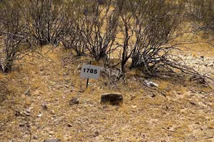 0 W W Zentiff Dr, Golden Valley, AZ 86413 - Photo 1