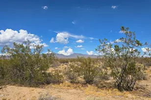 123-30-009 S Sundance Kid Rd, Yucca, AZ 86438 - Photo 1