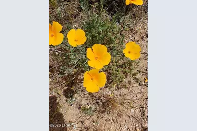 245-02-152 S Carrow Rd, Yucca, AZ 86438 - Photo 16