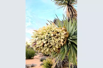 245-02-152 S Carrow Rd, Yucca, AZ 86438 - Photo 8