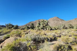 245-02-152 S Carrow Rd, Yucca, AZ 86438 - Photo 1