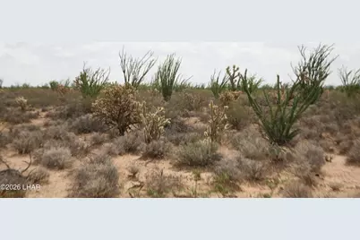 242-05-015 Gene Autry Rd, Yucca, AZ 86438 - Photo 16