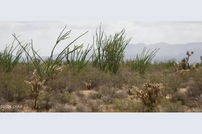 242-05-015 Gene Autry Rd, Yucca, AZ 86438 - Photo 32