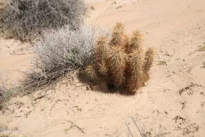 242-05-015 Gene Autry Rd, Yucca, AZ 86438 - Photo 28