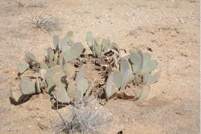 207-17169A Cherry Rd, Yucca, AZ 86438 - Photo 34
